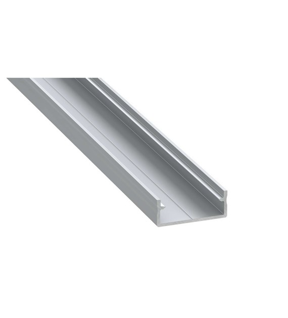 Profil DUAL srebrny anod.1m