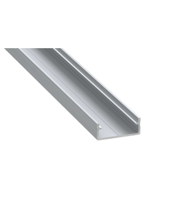 Profile DUAL silver anodized 2m
