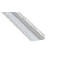 Profil DUAL surowy 1 m