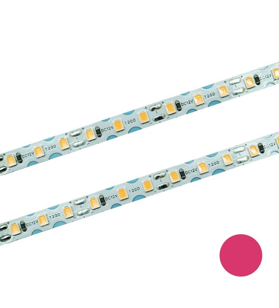 Taśma LED 120 SMD skrętna IP20 różowa 7W/m rolka 10m
