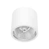 Oprawa natynkowa SPOT CARLO AR111 biały IP65