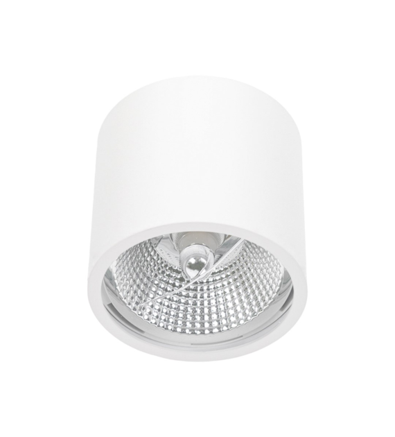 Surface-mounted fixture SPOT CARLO AR111 white IP65