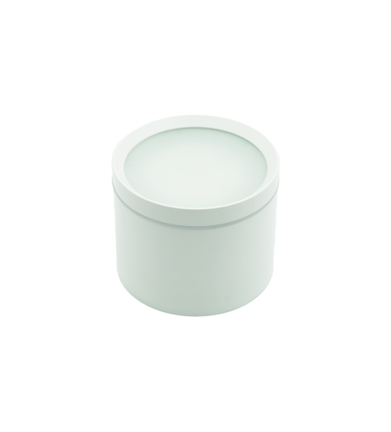 Surface-mounted fixture SPOT MONTE white GX53 IP65